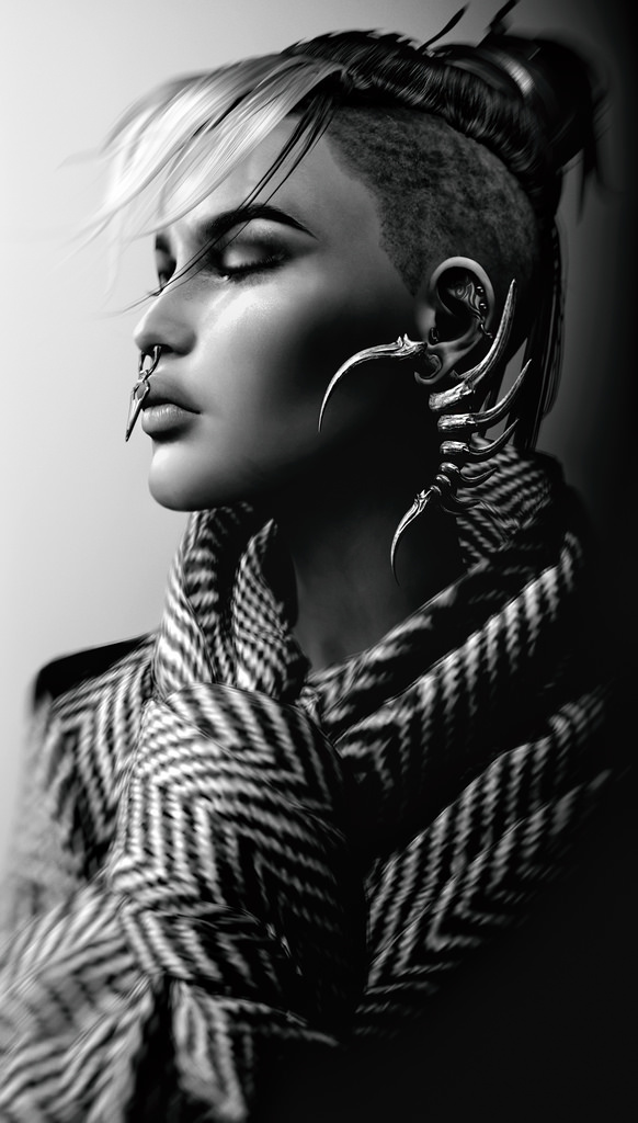 25248334838_c3ce67817a_b